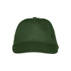 024065 68 TexasBullCap F