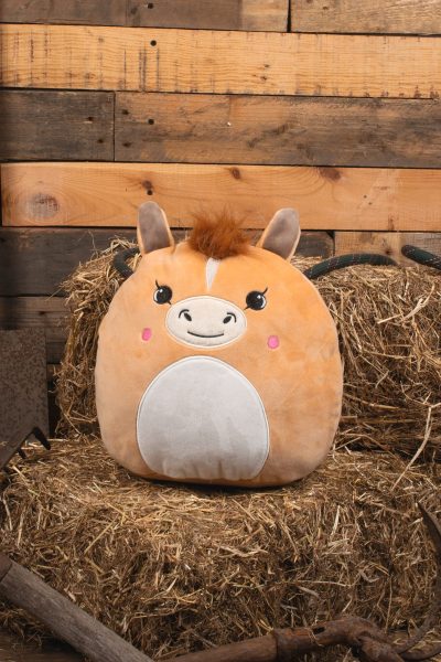 Peluches Squidgy's – Image 15