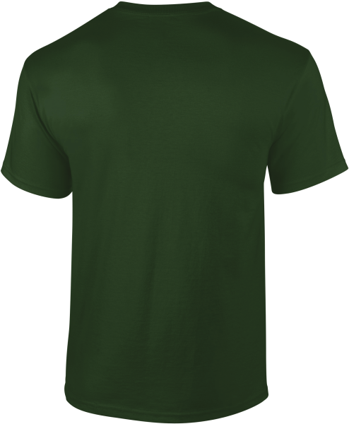 T-SHIRT MANCHES COURTES Ultra Cotton™ – Image 19