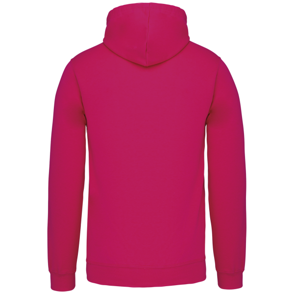 Sweat-shirt capuche contrastée homme – Image 26