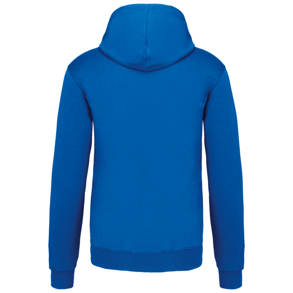 Sweat-shirt capuche contrastée homme – Image 32