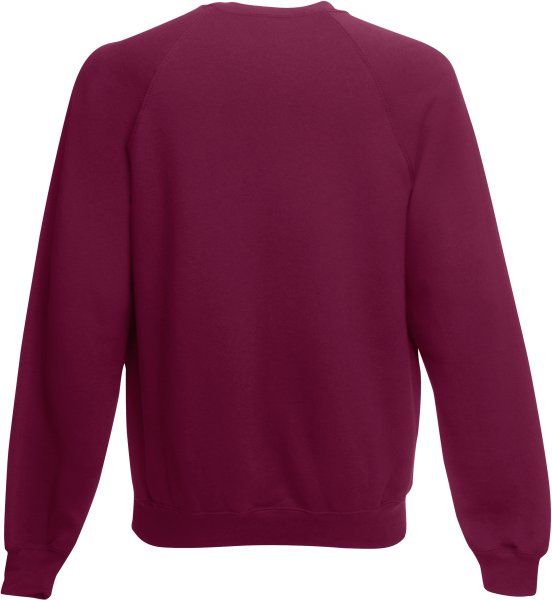 Sweat-shirt manches raglan (62-216-0) – Image 5