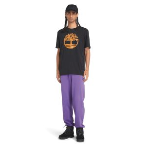 T-shirt bio Brand Tree
