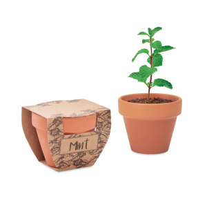 MINT POT MO2218