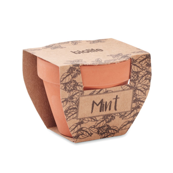 MINT POT MO2218 – Image 4