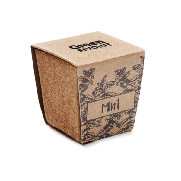 MINT KIT MO2410 – Image 5