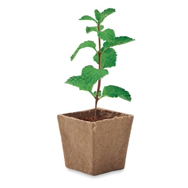 MINT KIT MO2410 – Image 3