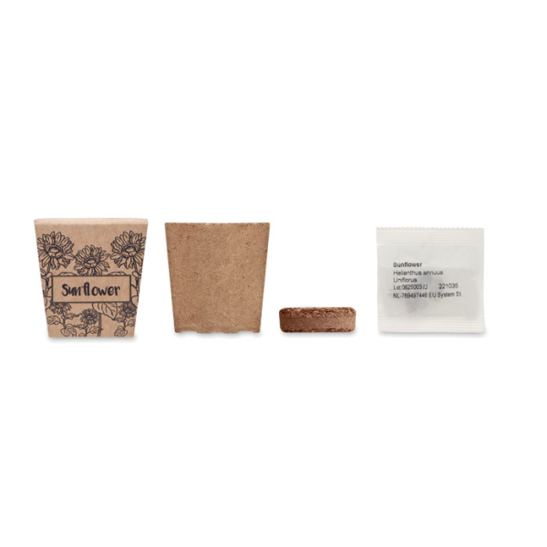 SUNFLOWER KIT MO2411 – Image 2