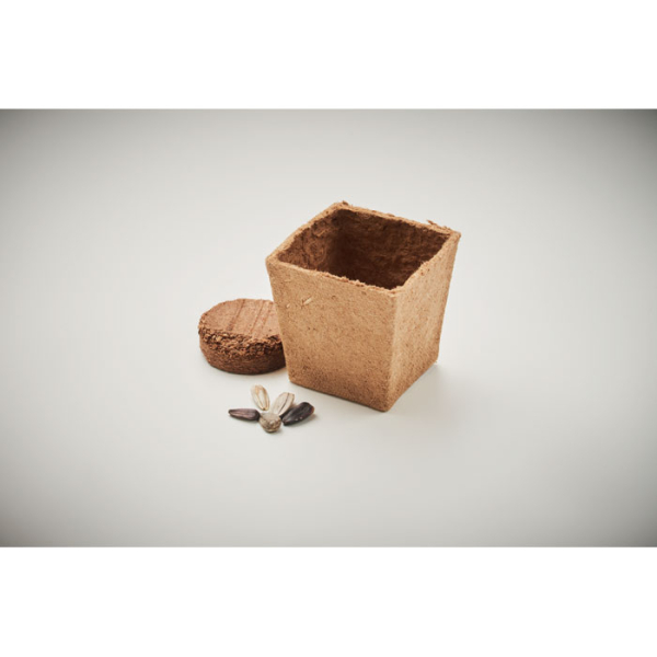 SUNFLOWER KIT MO2411 – Image 6