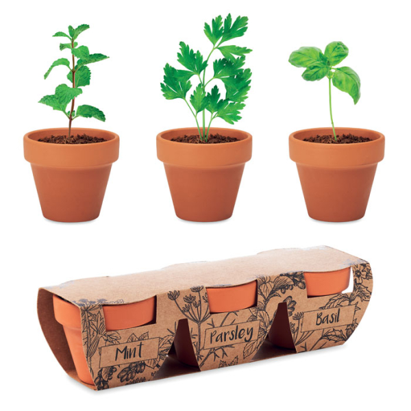 FLOWERPOT MO6145