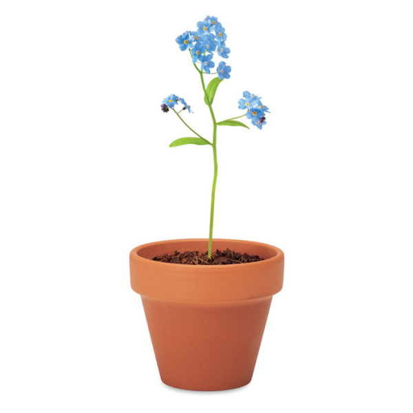 FORGET ME NOT MO6146 – Image 5