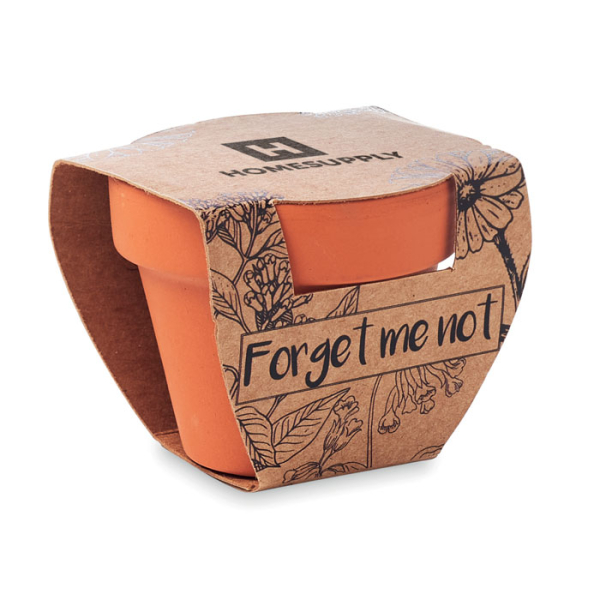 FORGET ME NOT MO6146 – Image 4