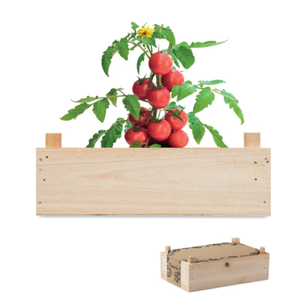 TOMATO MO6498