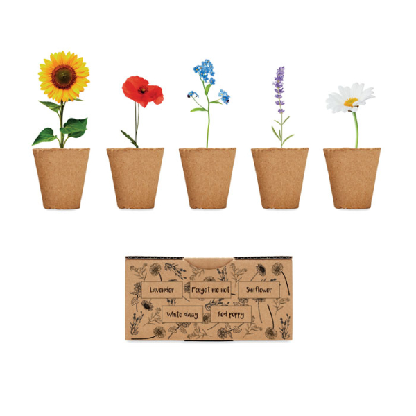 FLOWERS MO6500