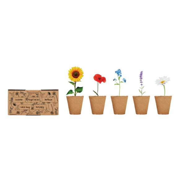 FLOWERS MO6500 – Image 4