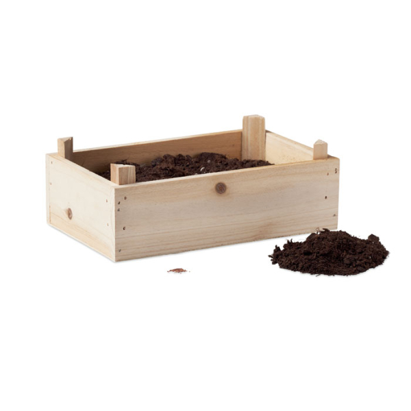 STRAWBERRY MO6506 – Image 3