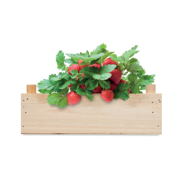 STRAWBERRY MO6506 – Image 4