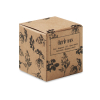 Bombe de graines d'herbes MO6910