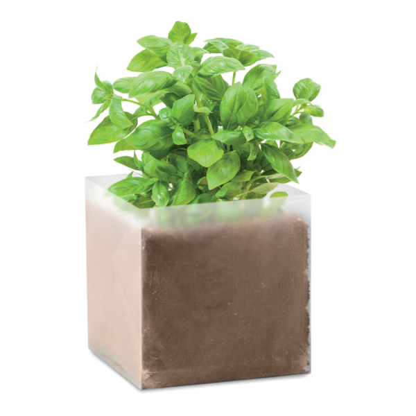 BASIL MO9545