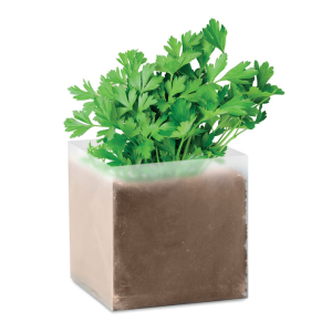 PARSELY MO9547