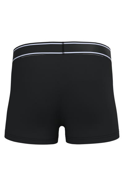 Boxer – Image 48