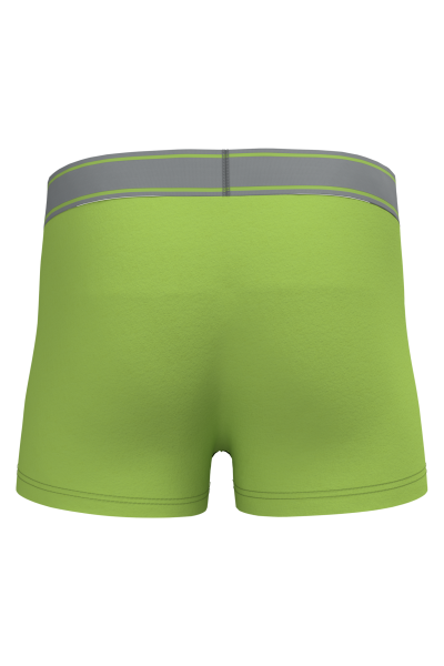 Boxer – Image 52
