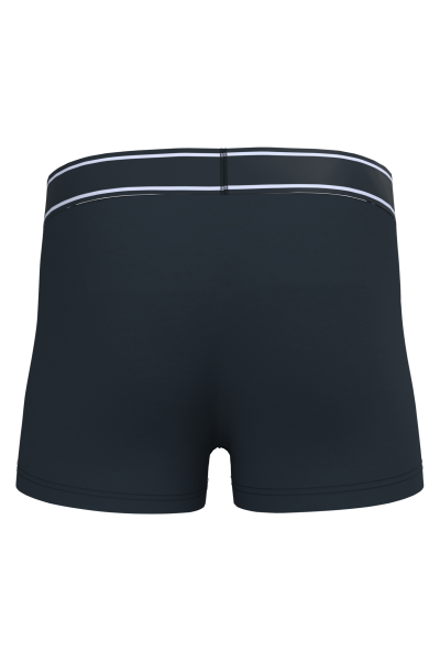 Boxer – Image 54