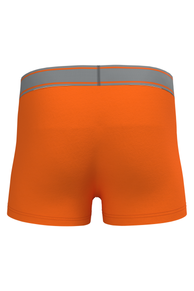 Boxer – Image 58