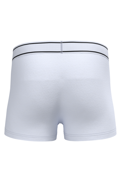 Boxer – Image 66
