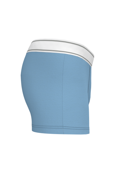Boxer – Image 63