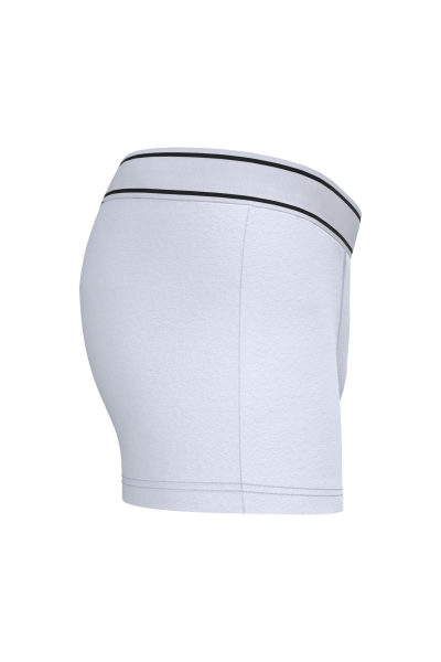 Boxer – Image 67