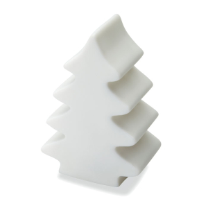 Lumière changeante  sapin CX1362