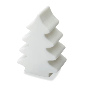 Lumière changeante  sapin CX1362