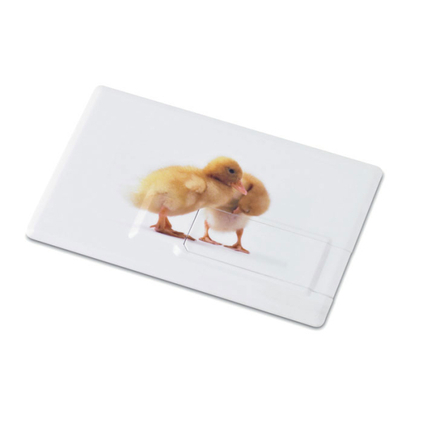 Creditcard. USB flash 16GB MO1059c