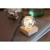 Globe en verre LED MO2690