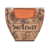 Pot graines de tournesol MO6147