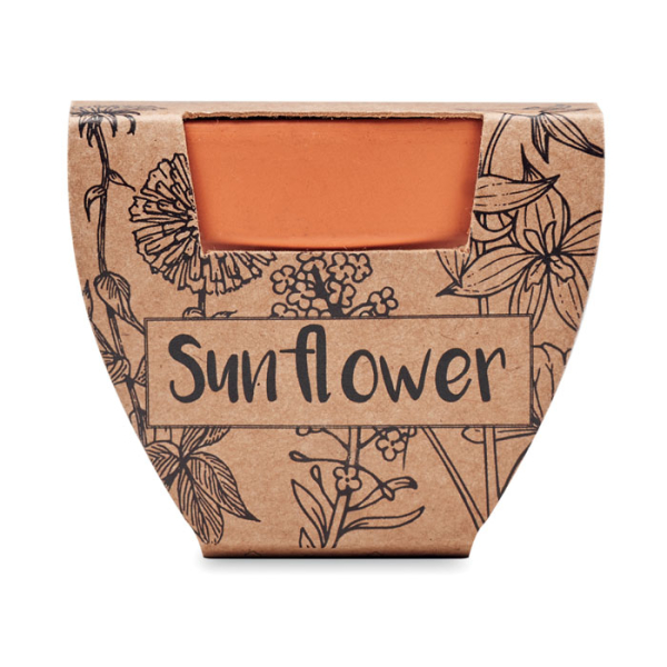 Pot graines de tournesol MO6147